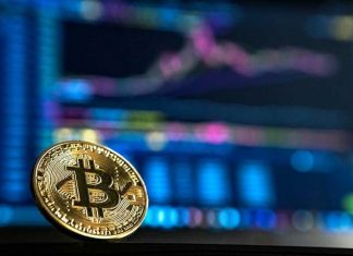 Ini Ramalan Perkembangan Cryptocurrency di Indonesia
