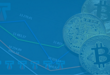 Mengenal CYN Sebagai Salah Satu Token Crypto